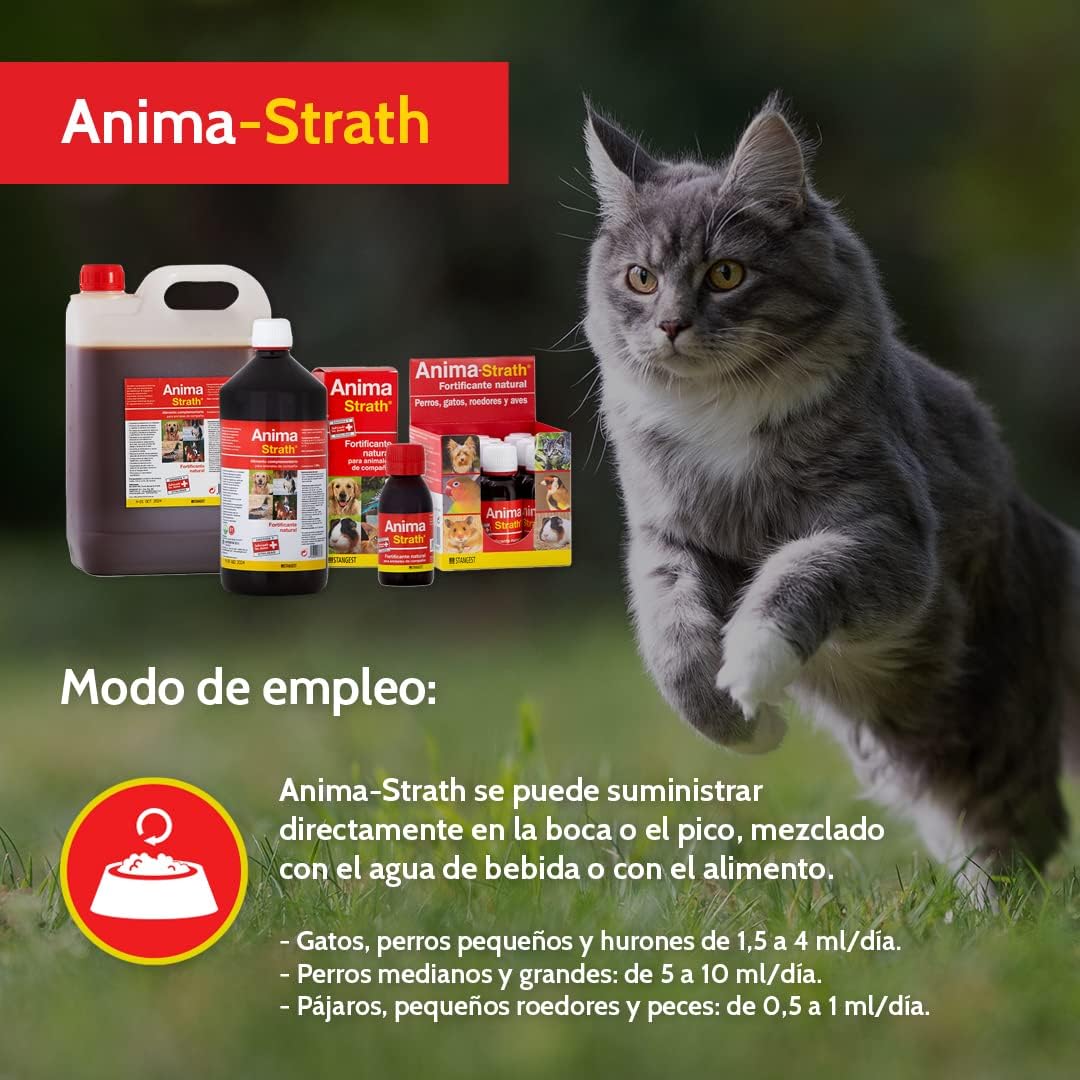 Anima Strath Fortificante 100% natural reconstituyente para mascotas 100ml