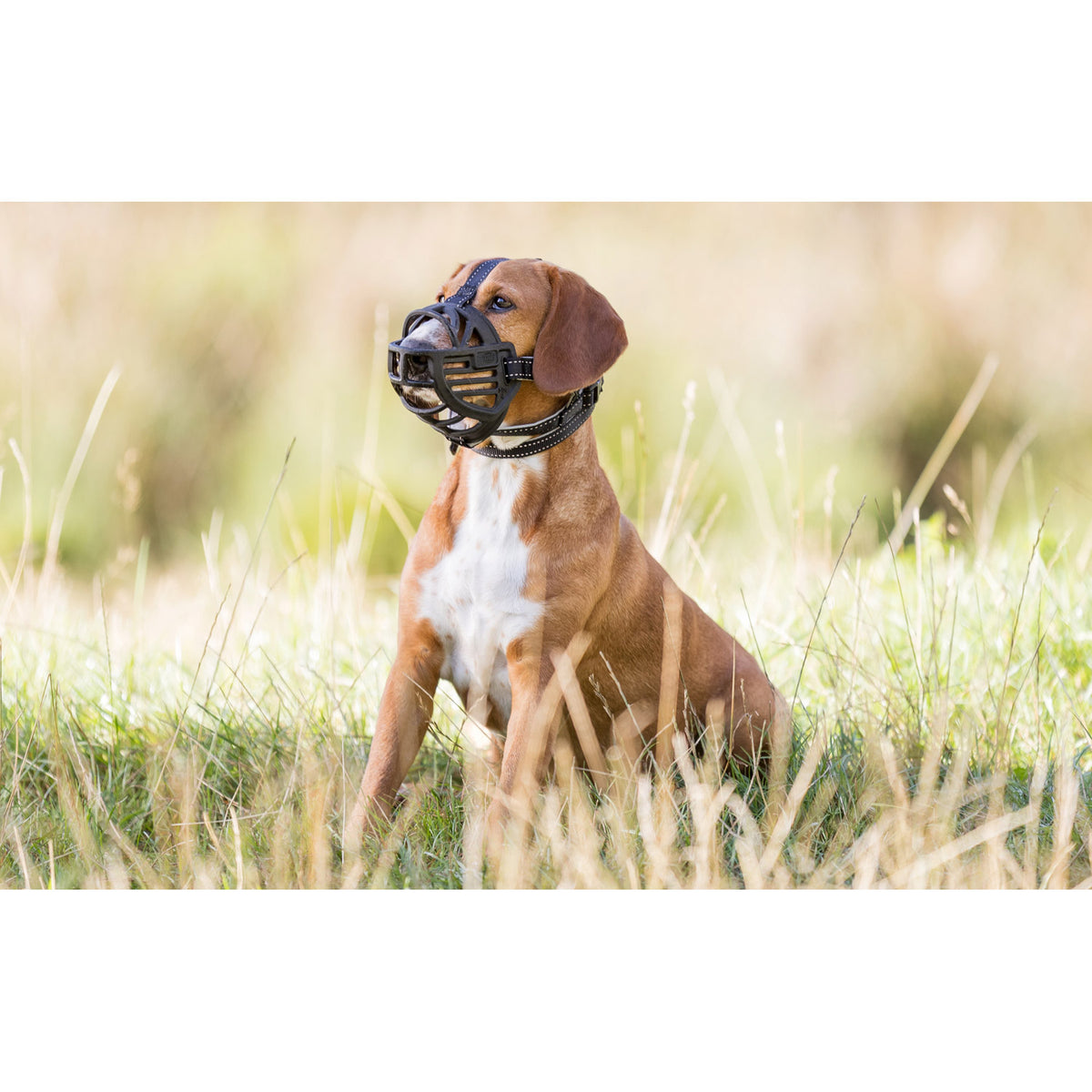Trixie Bozal Flexible en Silicona para Perros – Máxima Comodidad y Seguridad