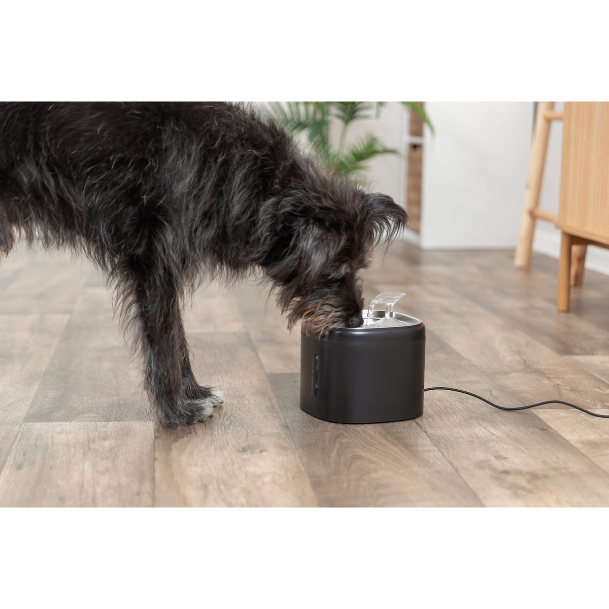 Trixie Fuente de Agua Pure para Mascotas (2L) – Hidratación Inteligente y Silenciosa bandeja en acero