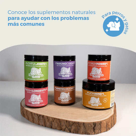 Mary&Trufa CordyPower 75 gr. Refuerza y regula el sistema inmune. Aporta vitalidad y energía.
