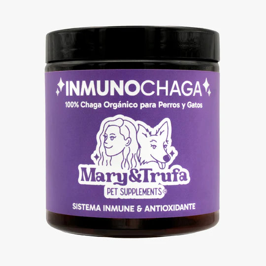 Mary&Trufa InmunoChaga 75 G. Inmunomodulador y antioxidante. Salud de articulaciones, piel y digestión