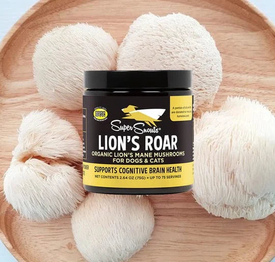 Super Snouts Lion's Roar 75 gr. Regula el Sistema Inmune. Apoyo cognitivo y digestivo