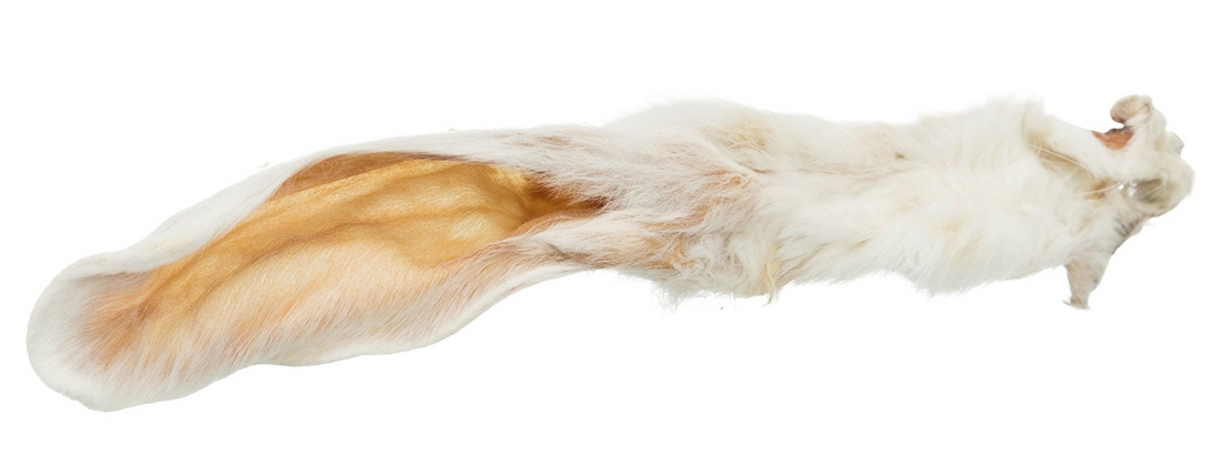 Oreja de conejo con pelo: el snack natural que ayuda a la digestión de tu perro