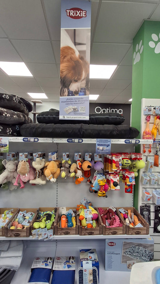 Juego saludable: el hábito que mejora la vida de tu perro o gato