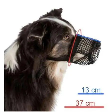 Bozal contra Ingestas Peligrosas