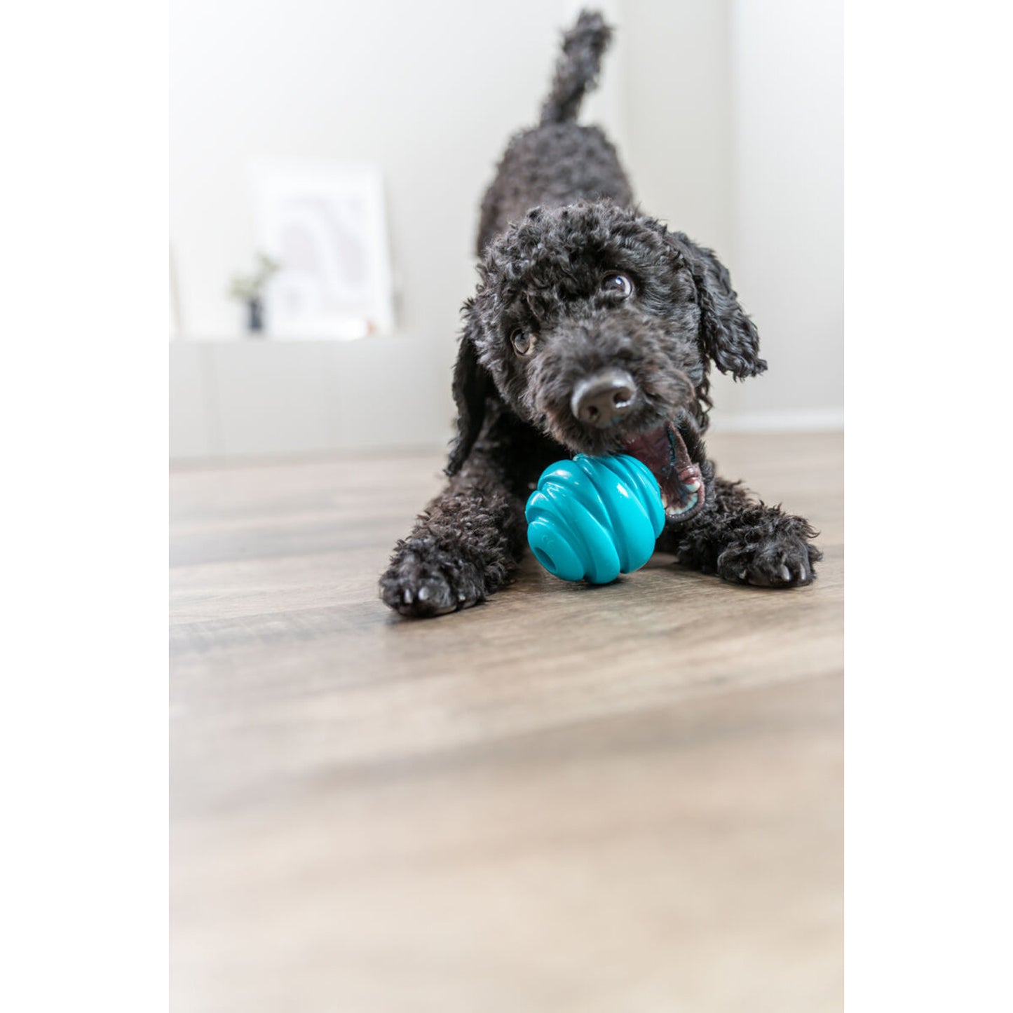 Super Strong Pelota juguete perro
