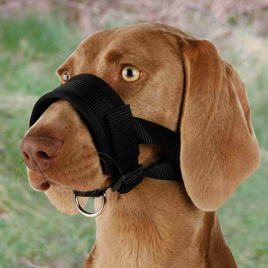 Trixie Bozal Ajustable de Nylon  Acolchado de Neopreno para perro