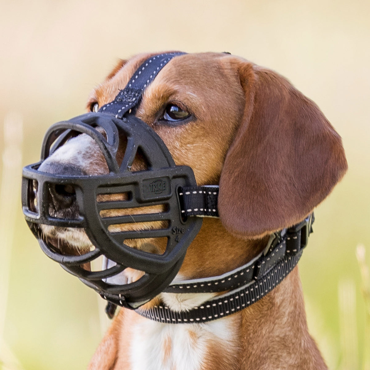 Trixie Bozal Flexible en Silicona para Perros – Máxima Comodidad y Seguridad