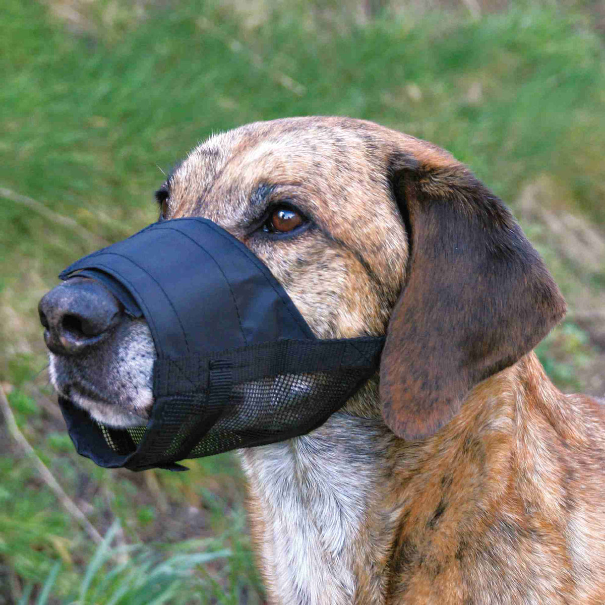 Trixie Bozal de Poliéster con Red Transpirable para perros