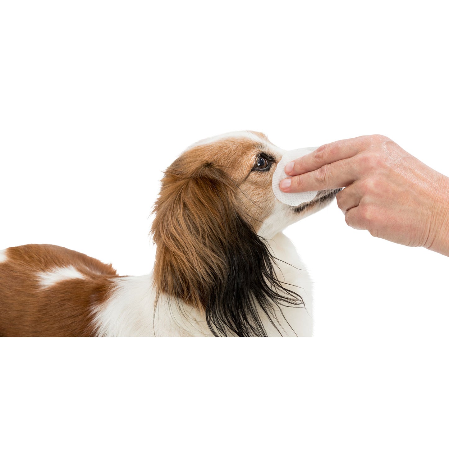 Eye Care Ojos Limpios