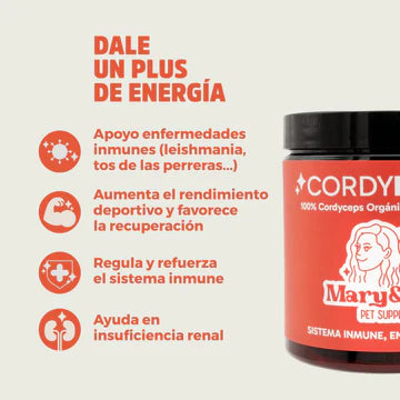 Mary&Trufa CordyPower 75 gr. Refuerza y regula el sistema inmune. Aporta vitalidad y energía.