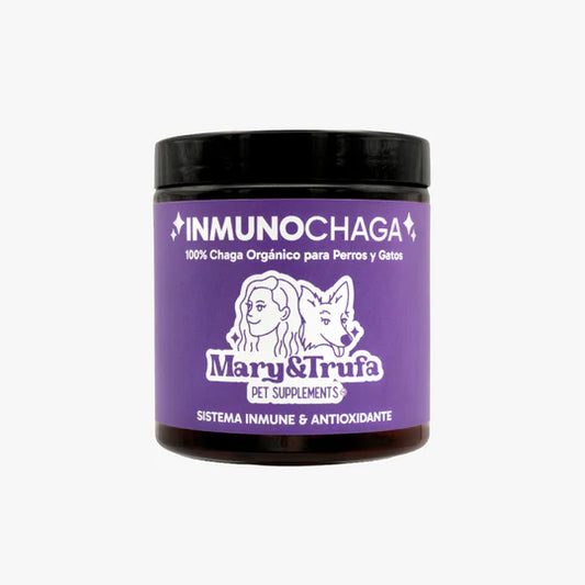 Mary&Trufa InmunoChaga 75 G. Inmunomodulador y antioxidante. Salud de articulaciones, piel y digestión