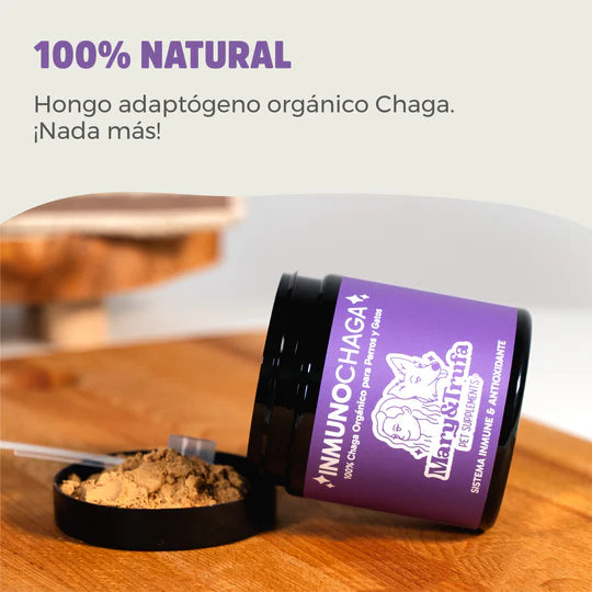 Mary&Trufa InmunoChaga 75 G. Inmunomodulador y antioxidante. Salud de articulaciones, piel y digestión