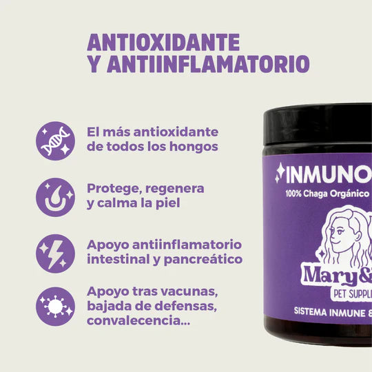 Mary&Trufa InmunoChaga 75 G. Inmunomodulador y antioxidante. Salud de articulaciones, piel y digestión
