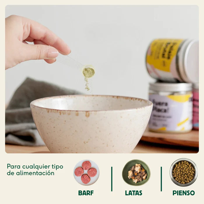 ARTICULACIONES DE ACERO Condroprotector natural