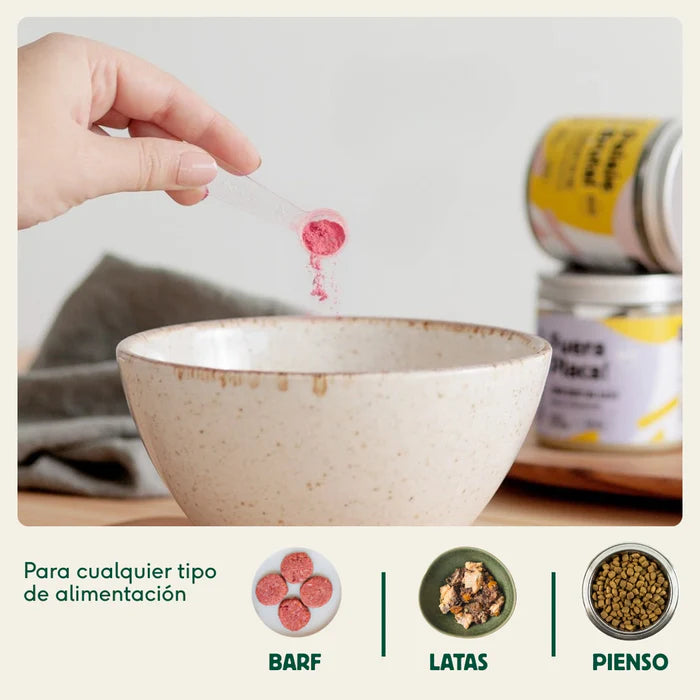 BIENESTAR URINARIO Suplemento para prevenir las infecciones de orina