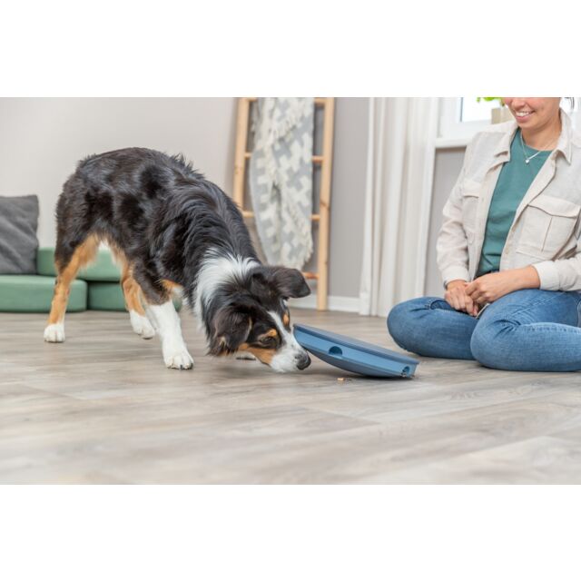 Dog Activity Rocking Maze juguete interactivo para perros