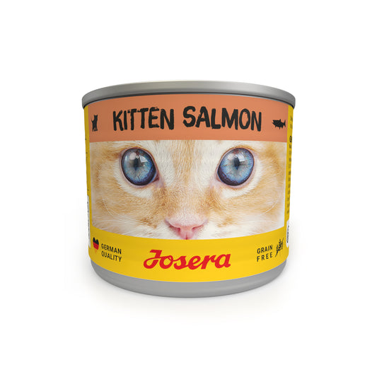 Salmon Kitten Húmedo 200 GR