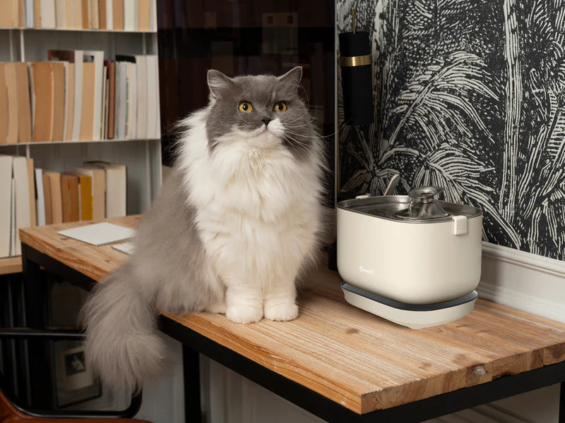 Fuente de agua inalámbrica para gatos BANDIT