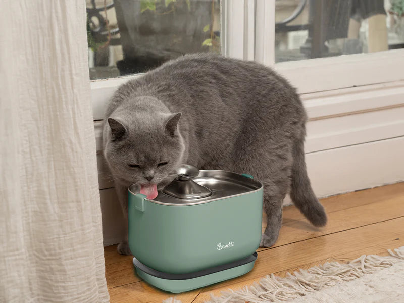 Fuente de agua inalámbrica para gatos BANDIT