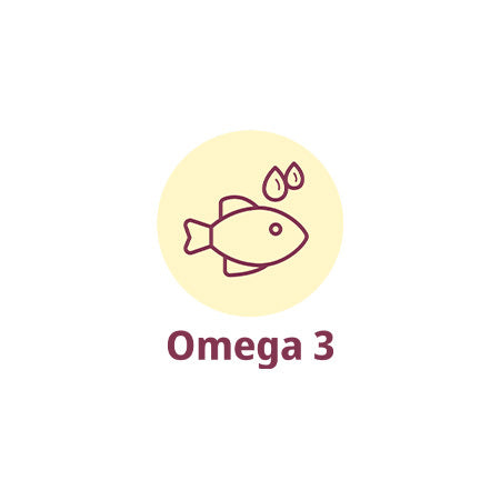 Mini Senior Chicken & Rice