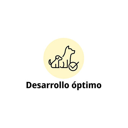 Junior High Protein Sea Fish