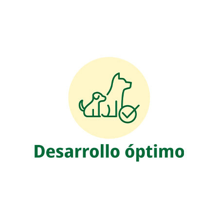 Mother&Puppy Salmon & Rice