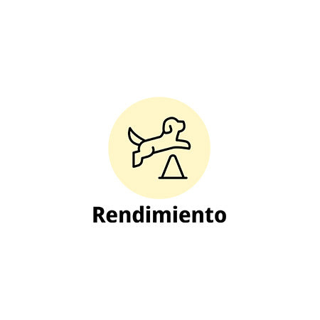 High Protein Sea Fish