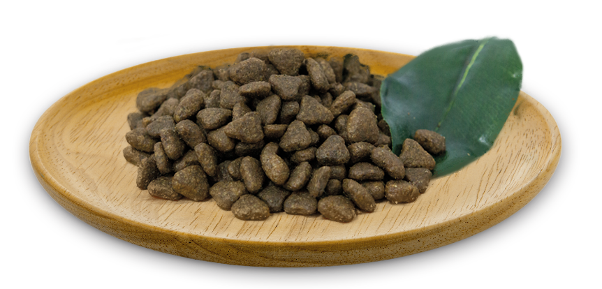 Receta cat field/river grain free  2kg