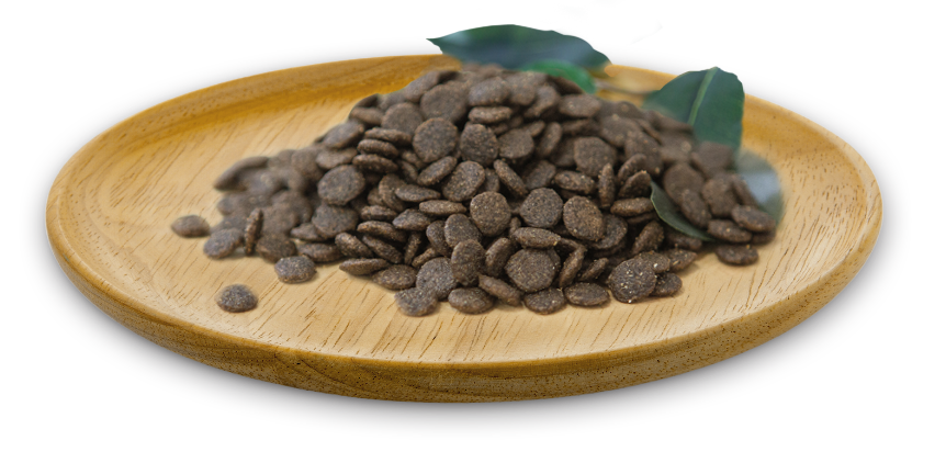 RECETA CONEJO LIGHT/FIT MINI GRAIN FREE 2 KG