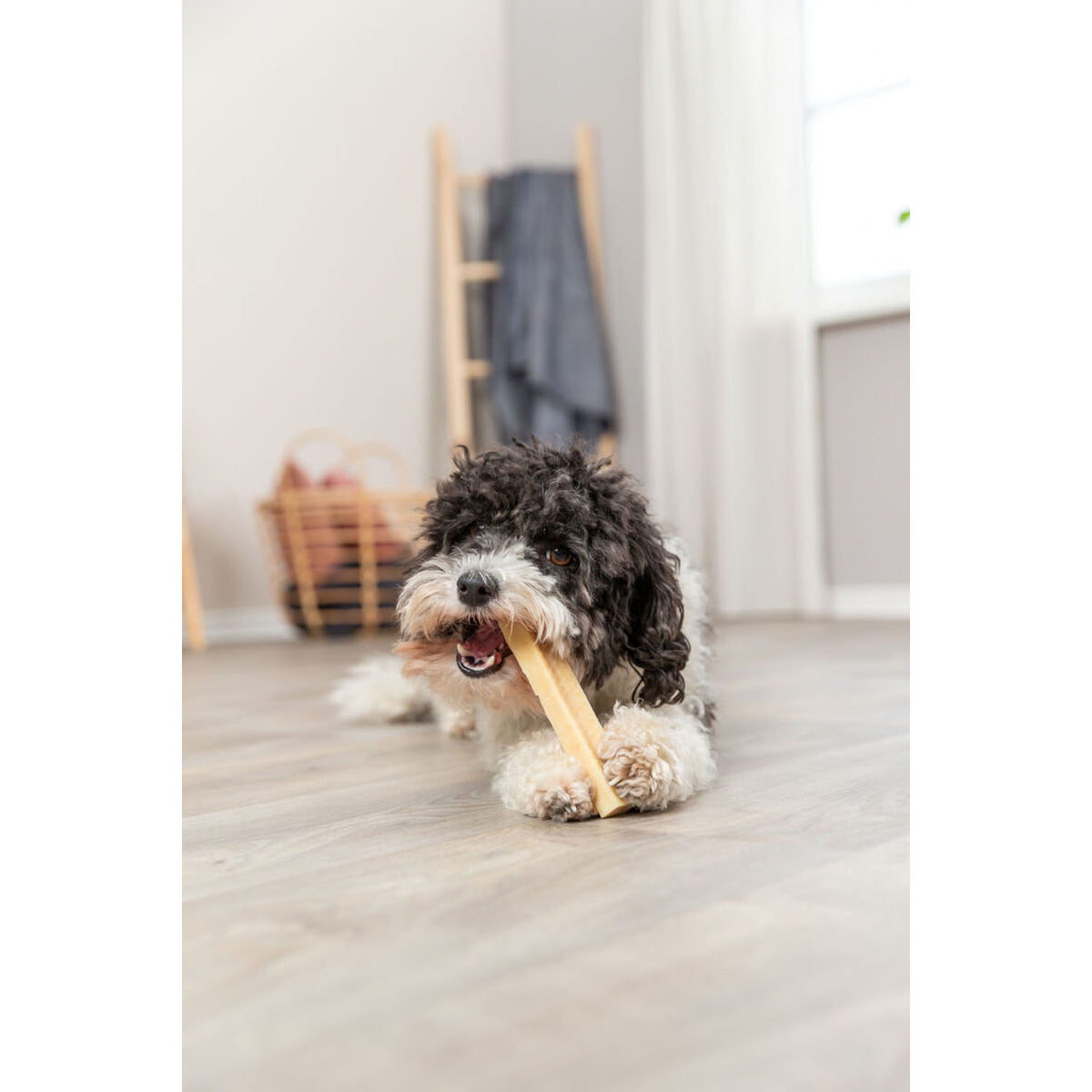 Queso masticable, para perro L, 13,5 cm, 95 g