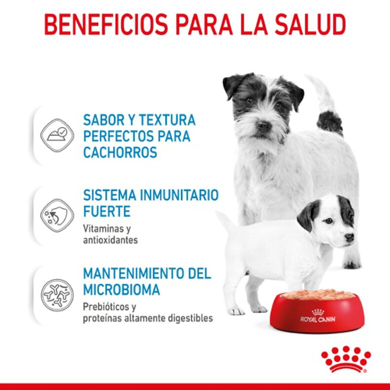Royal Canin Starter Mousse 195g Comida Húmeda Cachorros