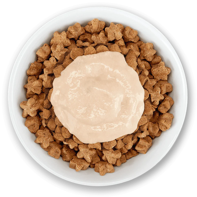 Schesir Stix Gustos variados en crema 90g