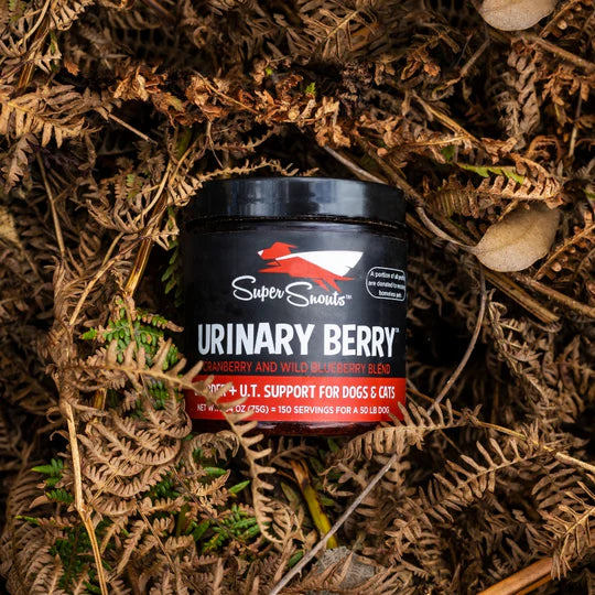Super Snouts Urinary Berry 75 gr. Ayuda al Tracto Urinario. Antioxidante Natural. Vitamina C.